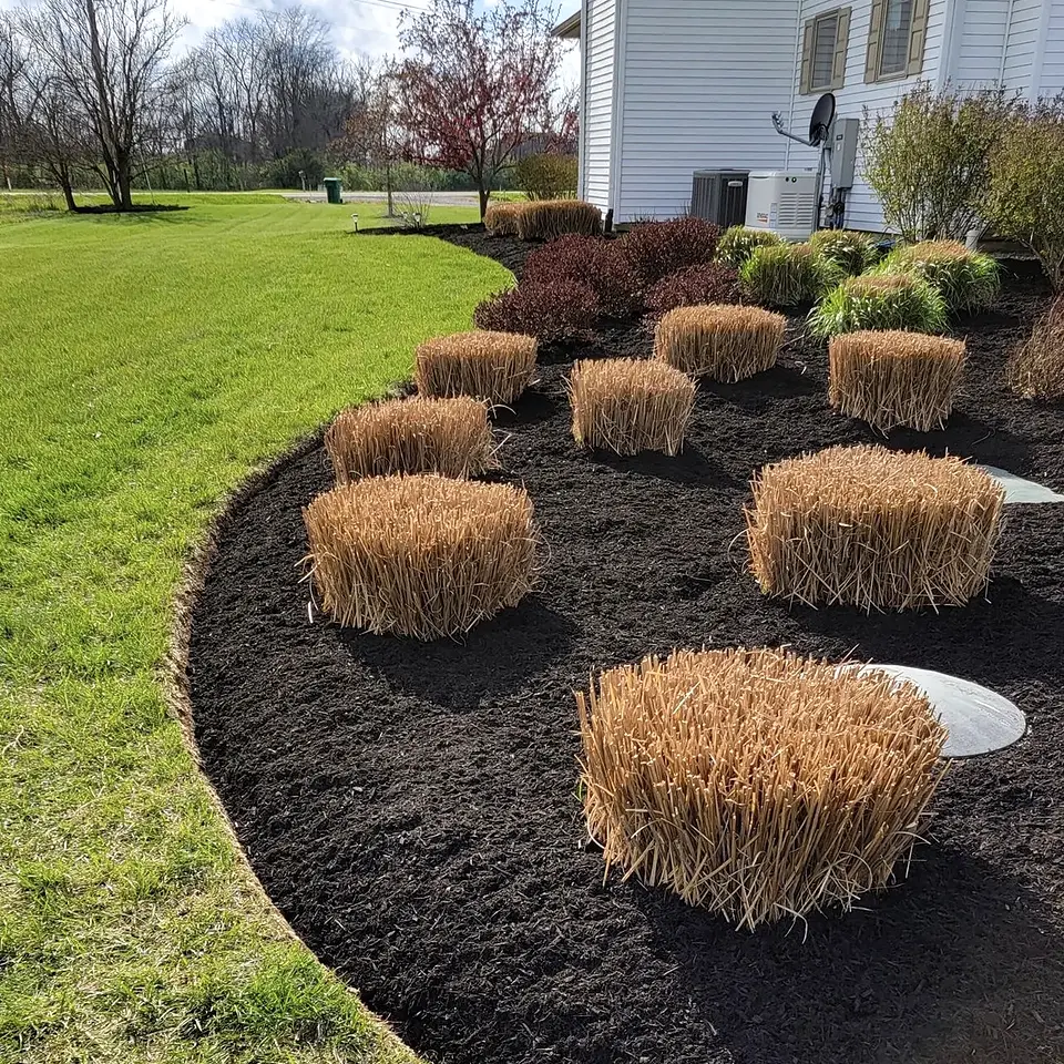 Fresh dark mulch installed in a curved residential landscape bed